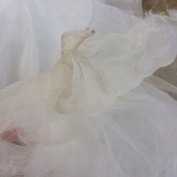 Randy Fenoli Angelina Ball Gown Wedding Dress 10 - Picture 13 of 15